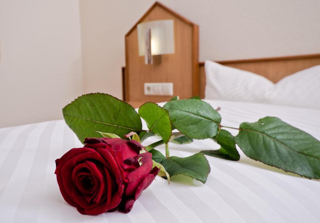 Serviced Apartments Kurpfalzhof Oftersheim Kamer foto