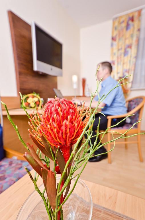 Serviced Apartments Kurpfalzhof Oftersheim Kamer foto