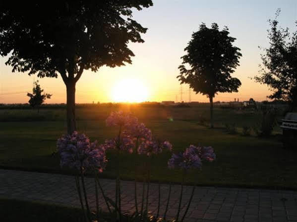 Serviced Apartments Kurpfalzhof Oftersheim Buitenkant foto