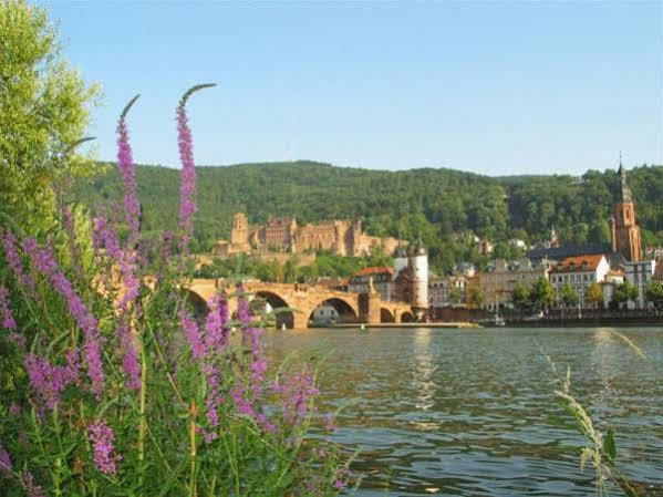 Serviced Apartments Kurpfalzhof Oftersheim Buitenkant foto