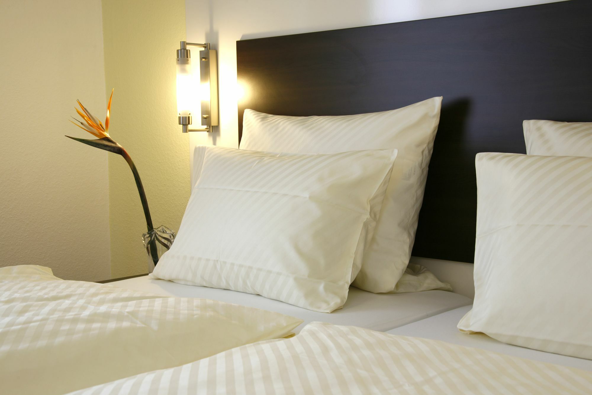 Serviced Apartments Kurpfalzhof Oftersheim Buitenkant foto