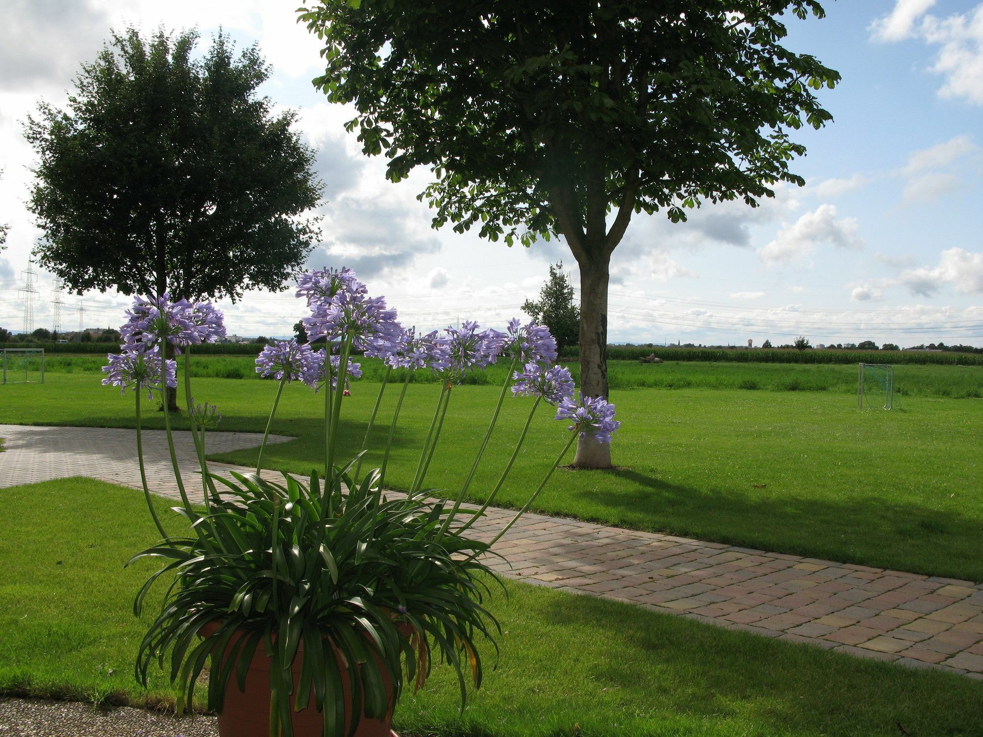Serviced Apartments Kurpfalzhof Oftersheim Buitenkant foto